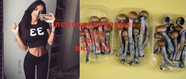 скорость Кинешма