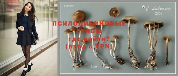 соль ск Киреевск