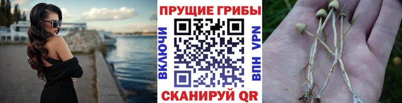 Купить закладки  Первоуральск  Галлюциногенные грибы ЛСД 